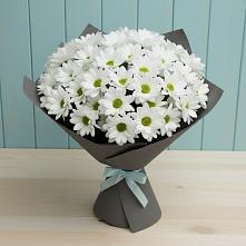 Букет цветов из:  Хризантемы в Кирпильской