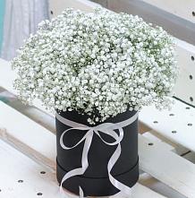 Цветочная композиция из Гипсофила в шляпной коробке #REPLACE_PRED# Кирпильской